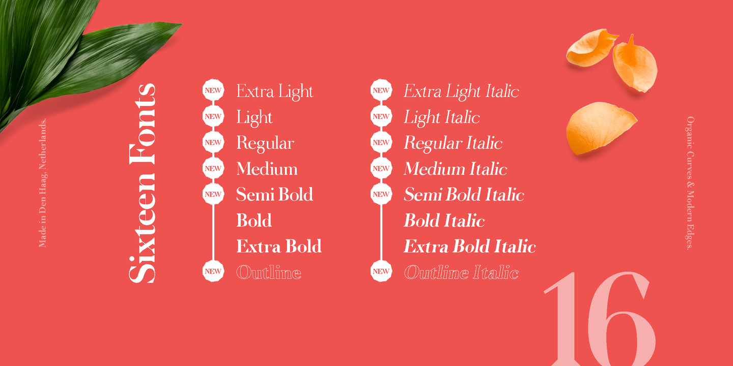 Пример шрифта Node Display Extra Light Italic